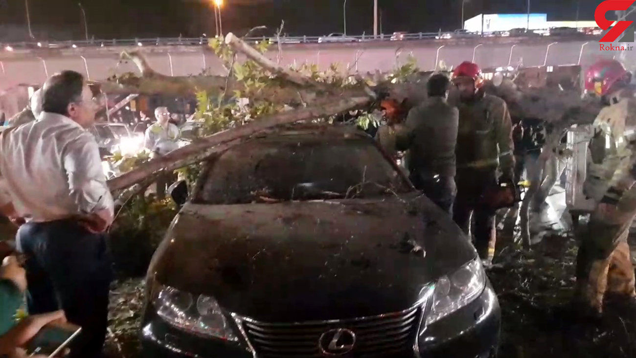  سقوط درخت بر دو خودروی لکسوس و پراید در تهران 