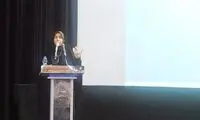 واکنش نماینده بروجرد به موضوع فرزندآوری 