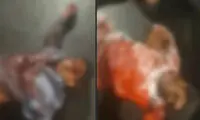 ماجرای درگیری مسلحانه در خیابان دانشگاه زاهدان