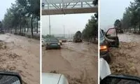 مصاحبه جنجالی در مشهد منجر به عزل یک مسئول شد