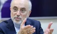 توصیه مهم صالحی به مسئولان درباره جنگ غزه