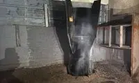 اطلاعیه تازه شبکه خبر بعد از حمله به اسرائیل