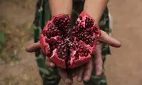 خاصیت حیرت‌انگیز جوشانده پوست انار