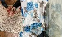 کشته‌شده حادثه سفارت باکو، چه کسی بود؟