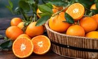 یک پرتقال در روز شاید افسردگی را از شما دور کند