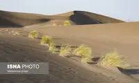 ۱۵ گردشگر در کویر طبس مفقود شدند
