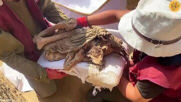 کشف مومیایی ۱۲۰۰ساله یک نوجوان با پوست سالم