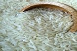 قیمت برنج کمی ارزان شد