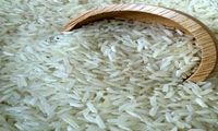 قیمت برنج کمی ارزان شد