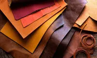 چگونه پوست گاو، دباغی می‌شود؟ 