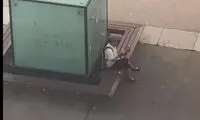بی‌خیالی یک نوجوان در اعتراضات فرانسه سوژه شد