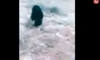 جنجال بر سر پیدا شدن آدم عجیب‌الخلقه در ایران!