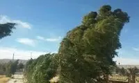 هشدار؛ وزش باد خیلی شدید در پایتخت! 