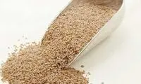 همه چیز درباره خواص بارهنگ