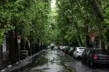 هوای تهران از این روز رنگ پاییز را می‌گیرد