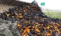 معرفت در مقابل هم‌نوع در خیابان شریعتی تهران