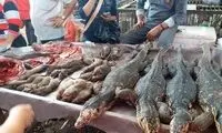 تصاویری بهت‌آور از بازار مواد غذایی در ووهان!