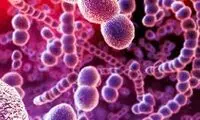 چه کسانی پنوموکوک تزریق کنند؟