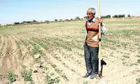 بالاخره کشاورزی ایرانی‌ها در ونزوئلا چه کاشتند؟