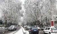 تصویری از بنر شهرداری در یک خیابان که وایرال شد