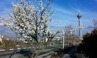 عکسی از هوای تهران در اولین روز بهار 1403 