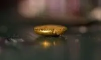 اسفنجی که از زباله طلا می‌گیرد!