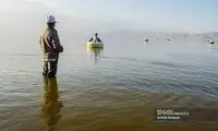 عکس ناسا از شیراز که ایرانی‌ها را خوشحال می‌کند