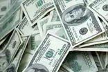 ریزش ناگهانی قیمت دلار در بازار امروز