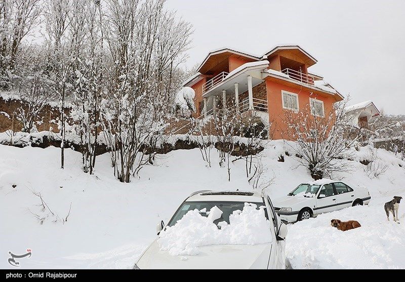 ویدئویی از بارش برف شدید در بستان‌آباد تبریز