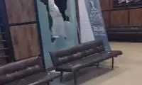 حمله گروهی با قمه و چاقو به کنسرت گرشا رضایی