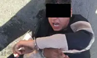 کوسه جنوب با شلیک گلوله در مشهد زمین‌گیر شد
