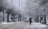 این 12 استان منتظر تشدید بارش برف باشند