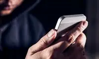 ویدئویی جدید از سارق خشن خیابان استاد معین