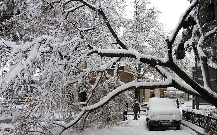 تصاویری از بارش شدید برف در مشهد 