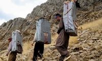 آمار عجیب واردات کالا از طریق کولبری و ملوانی