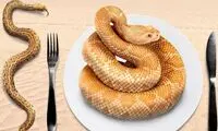 چرا کارشناسان مصرف گوشت مار را توصیه می‌کنند؟