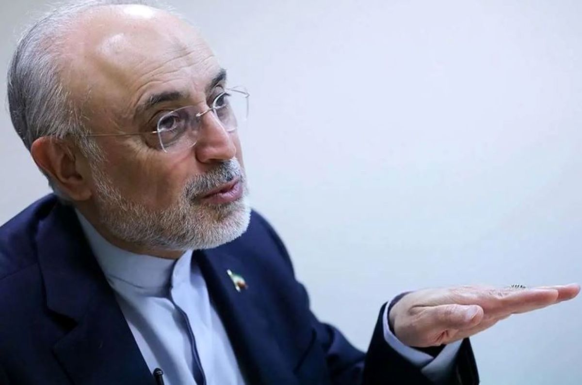   واکنش علی‌اکبر صالحی به دستگیری «قاسمیان» 
