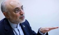 واکنش علی‌اکبر صالحی به دستگیری «قاسمیان» 