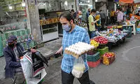 معجزه یک هفته زندگی با تخم‌مرغ را فقط در ایران تجربه کنید