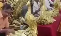 ببینید: سرو شام عروسی داخل ظروف طاووسی‌شکل