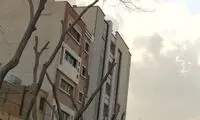 عکسی از یک لانه پرنده، که رنگ و بوی انسانیت دارد