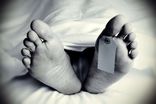 ماجرای سوءقصد به ۴۱ وکیل طی ۴ سال!