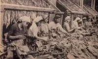دولت، انحصار سیگار را بدست گرفت!