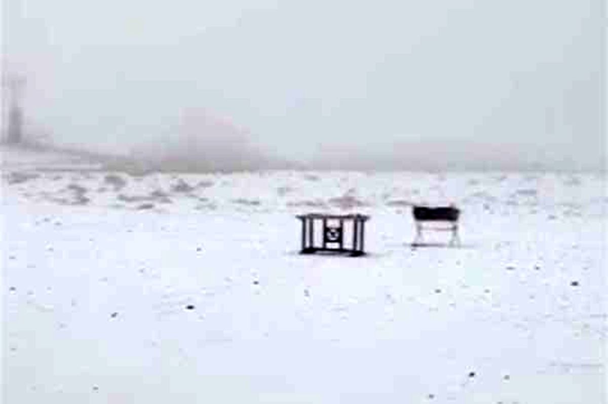 بارش برف ارتفاعات تهران را سفیدپوش کرد