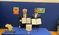 فراموشی هادی ساعی؛ مگر مهاجرت ذلت نبود؟! 