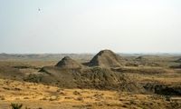 کشف فسیل زنده ۲۰۰ میلیون ساله در ایران
