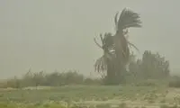 خیزش گرد و خاک در این مناطق تهران