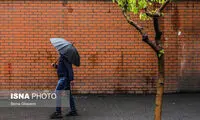 هوای این استان‌ها بارانی می‌شود