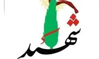 شهادت یک نیروی سپاه در لار 