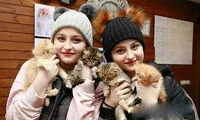 ماجرای جنجالی خواستگاری امیر تتلو از سارا و نیکا
